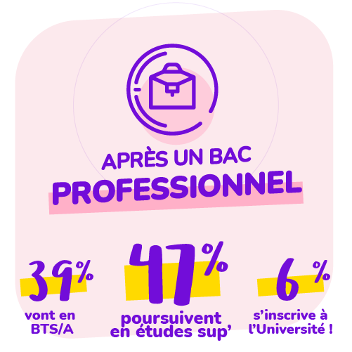 infographie bac professionnel