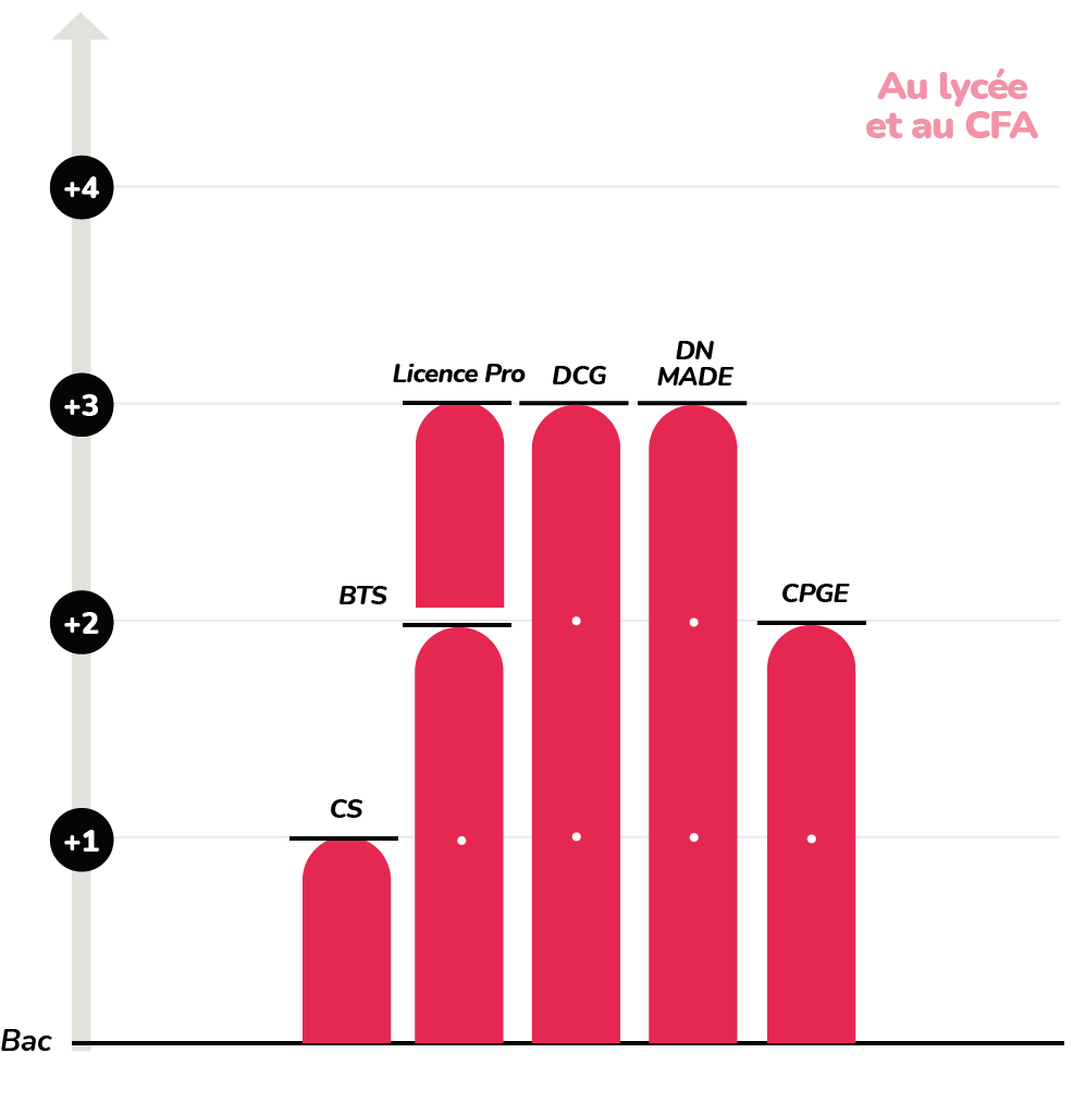 schéma des études au lycée et au cfa